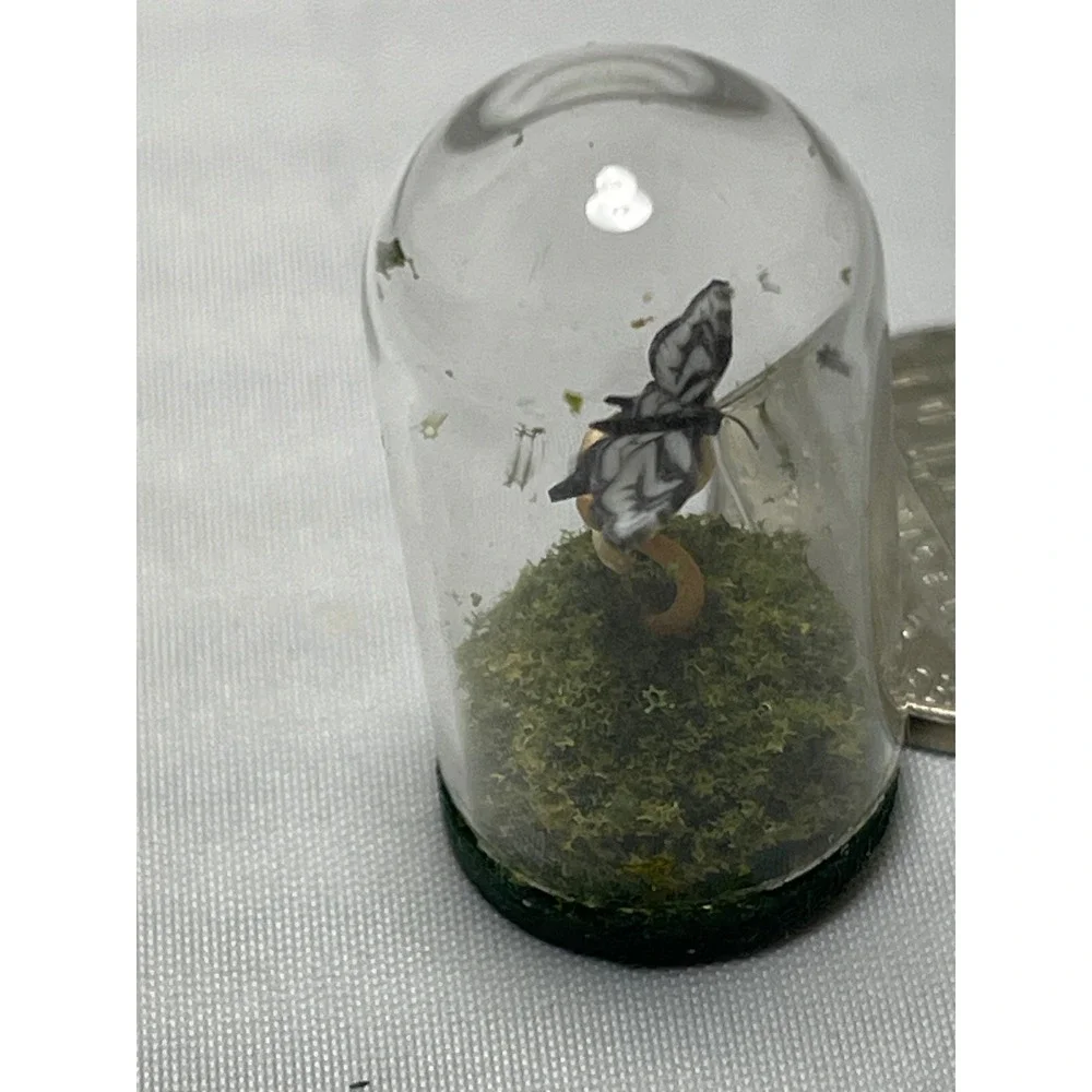 Unbranded Miniature‎ Butterfly Glass Dome Cloche Pale Swallowtail Tiny Diorama